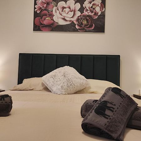 Apartman Lavanda -Zadar Dış mekan fotoğraf